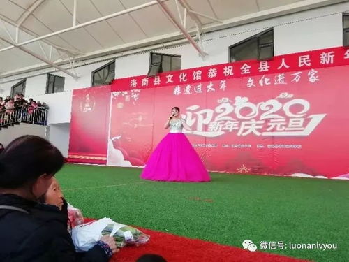 縣文旅局成功舉辦喜迎元旦系列文藝演出暨文化藝術(shù)交流活動